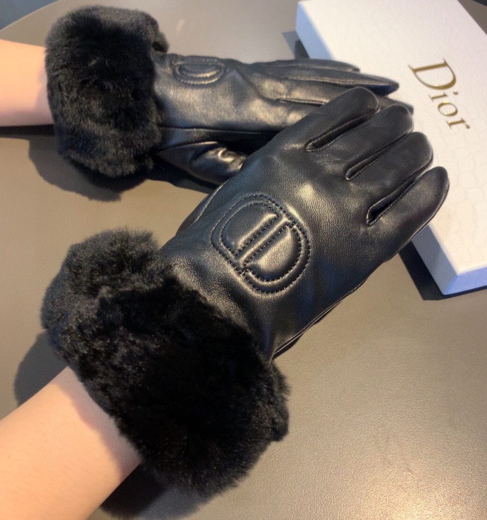 Dior Gloves In Black