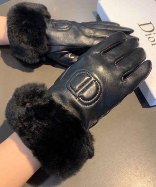 Dior Gloves In Black