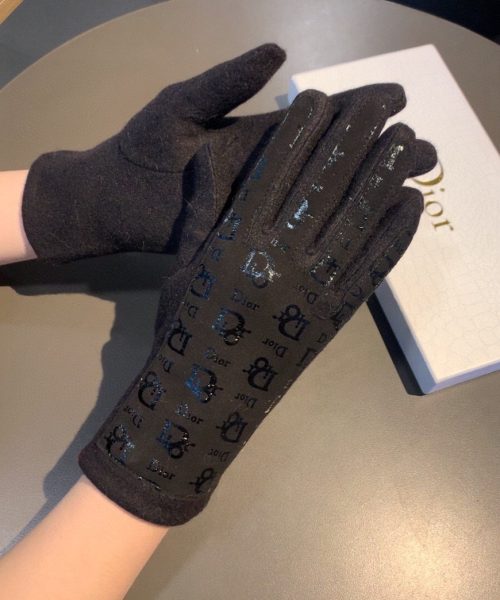 Dior Gloves In Black