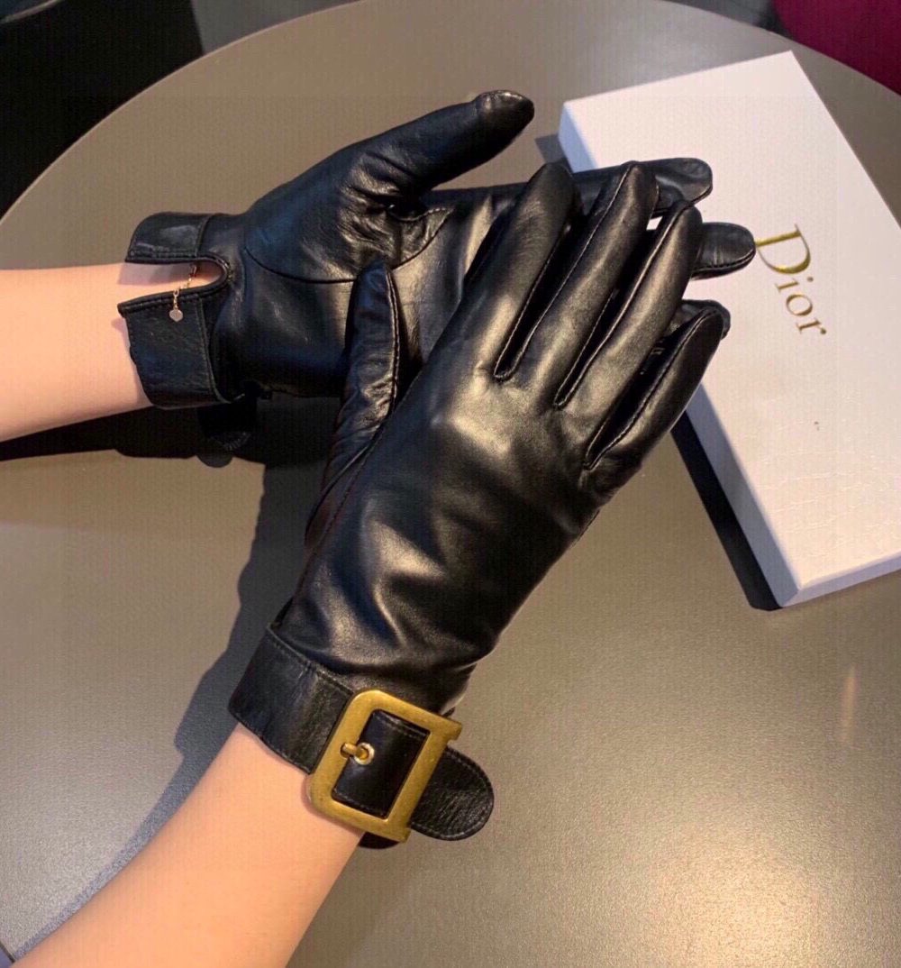 Dior Gloves In Black