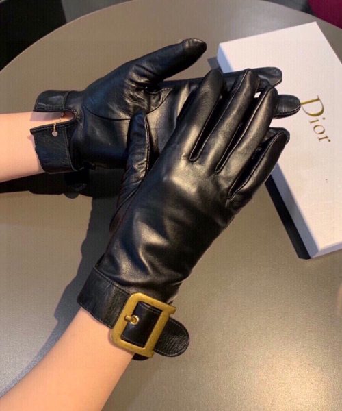 Dior Gloves In Black