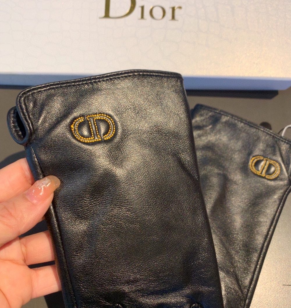 Dior Gloves In Black