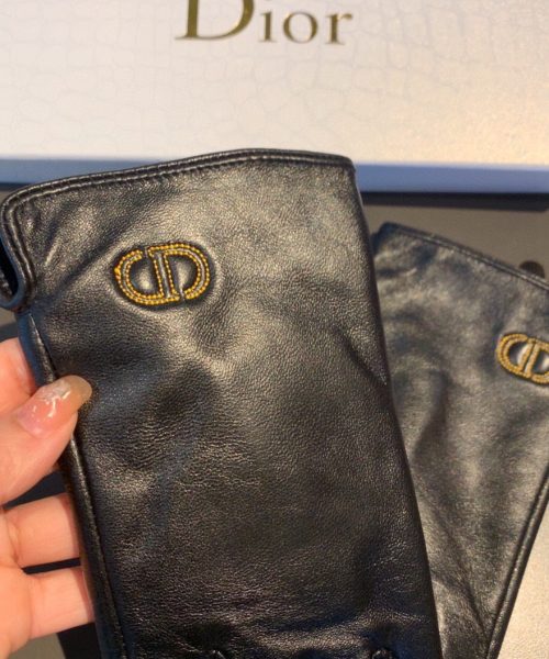 Dior Gloves In Black