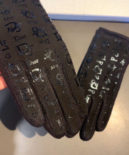 Dior Gloves In Black