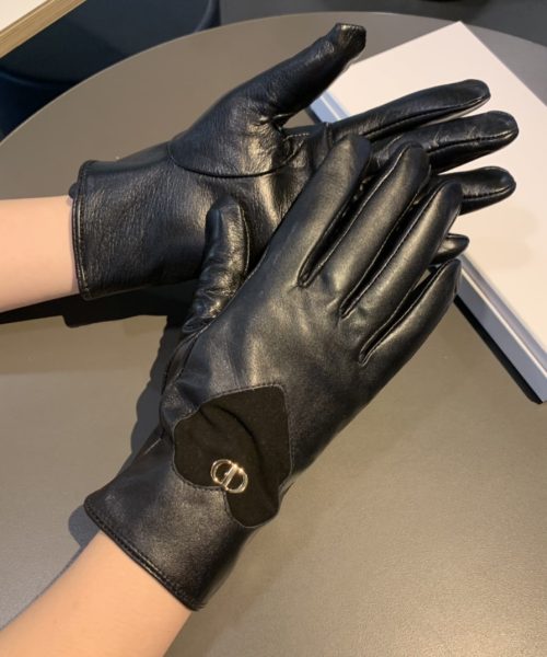 Dior Gloves In Black