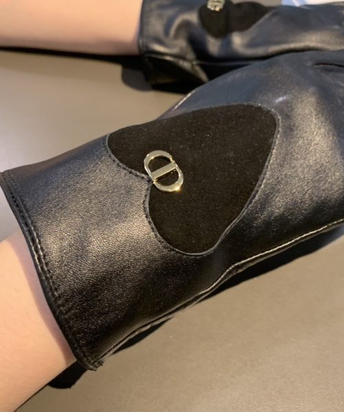 Dior Gloves In Black
