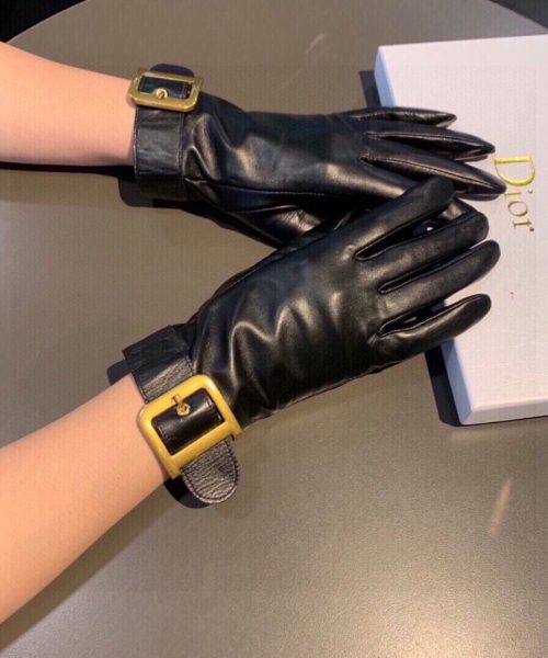 Dior Gloves In Black