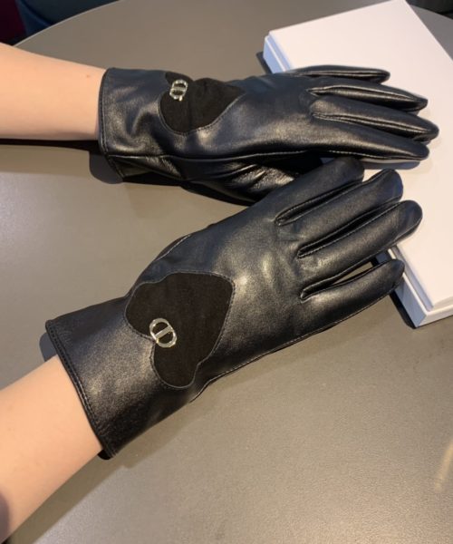 Dior Gloves In Black