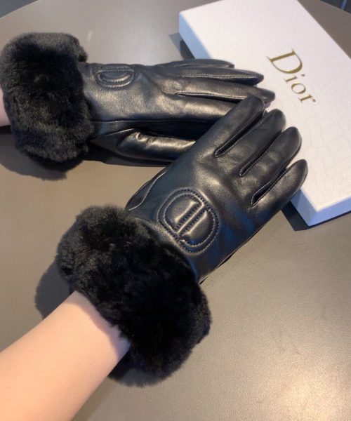 Dior Gloves In Black
