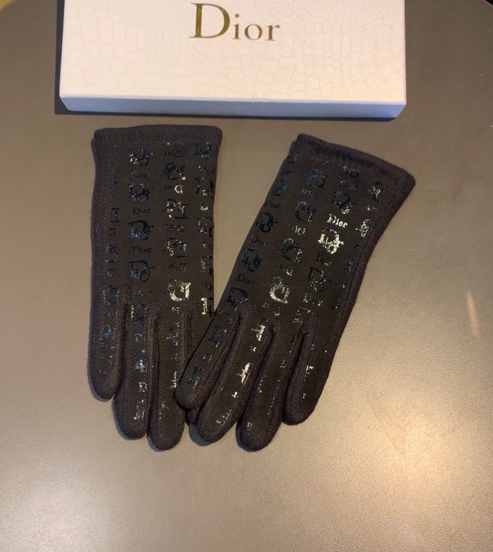 Dior Gloves In Black