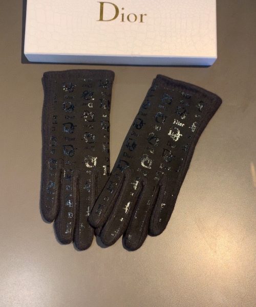 Dior Gloves In Black