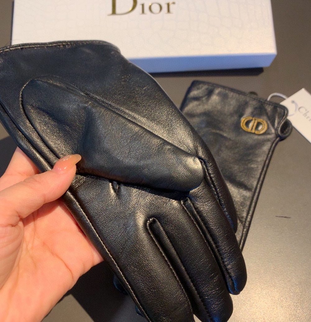 Dior Gloves In Black