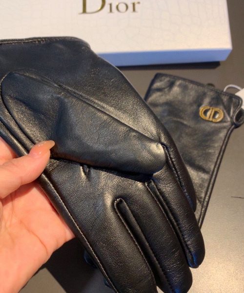 Dior Gloves In Black