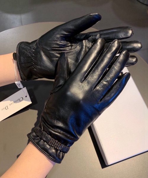 Dior Gloves In Black