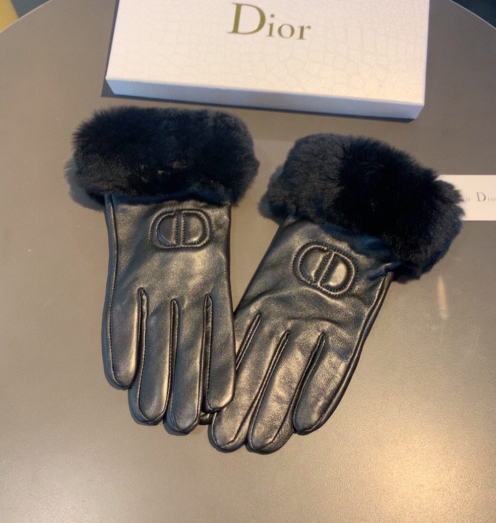 Dior Gloves In Black