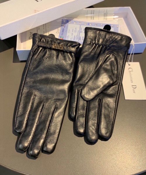 Dior Gloves In Black