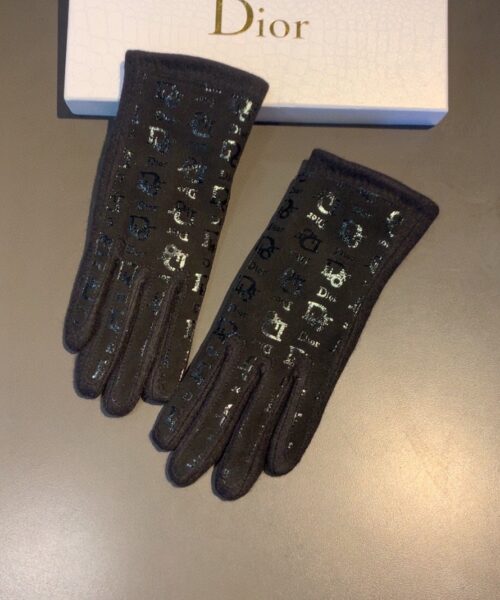 Dior Gloves In Black