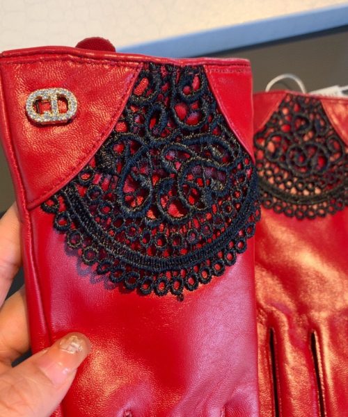 Dior Gloves In Red