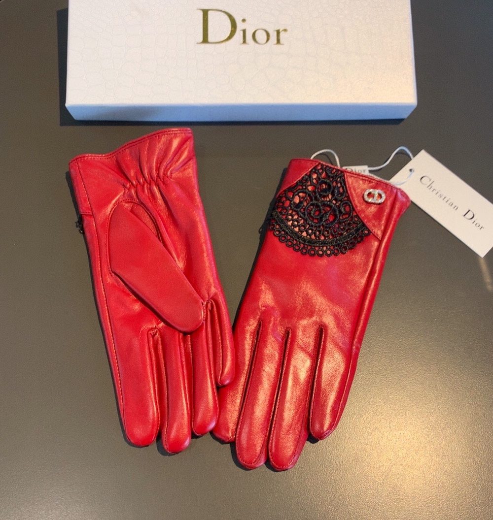 Dior Gloves In Red