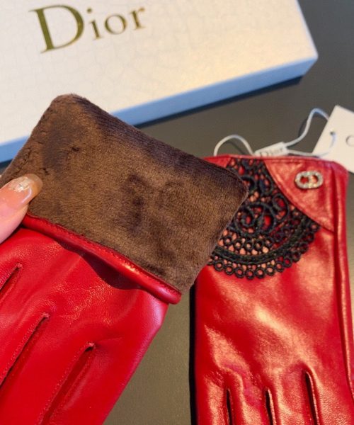 Dior Gloves In Red