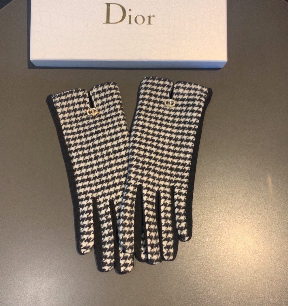 Dior Gloves In White