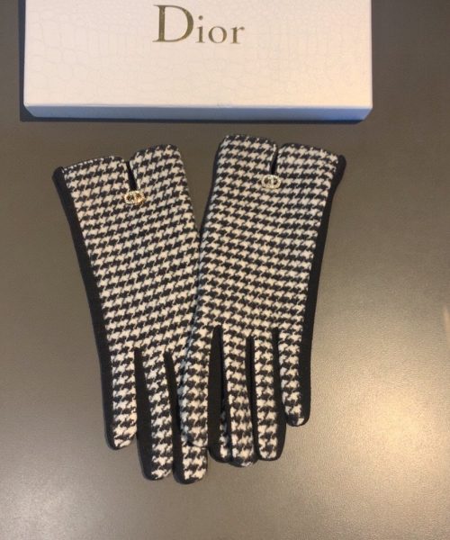 Dior Gloves In White