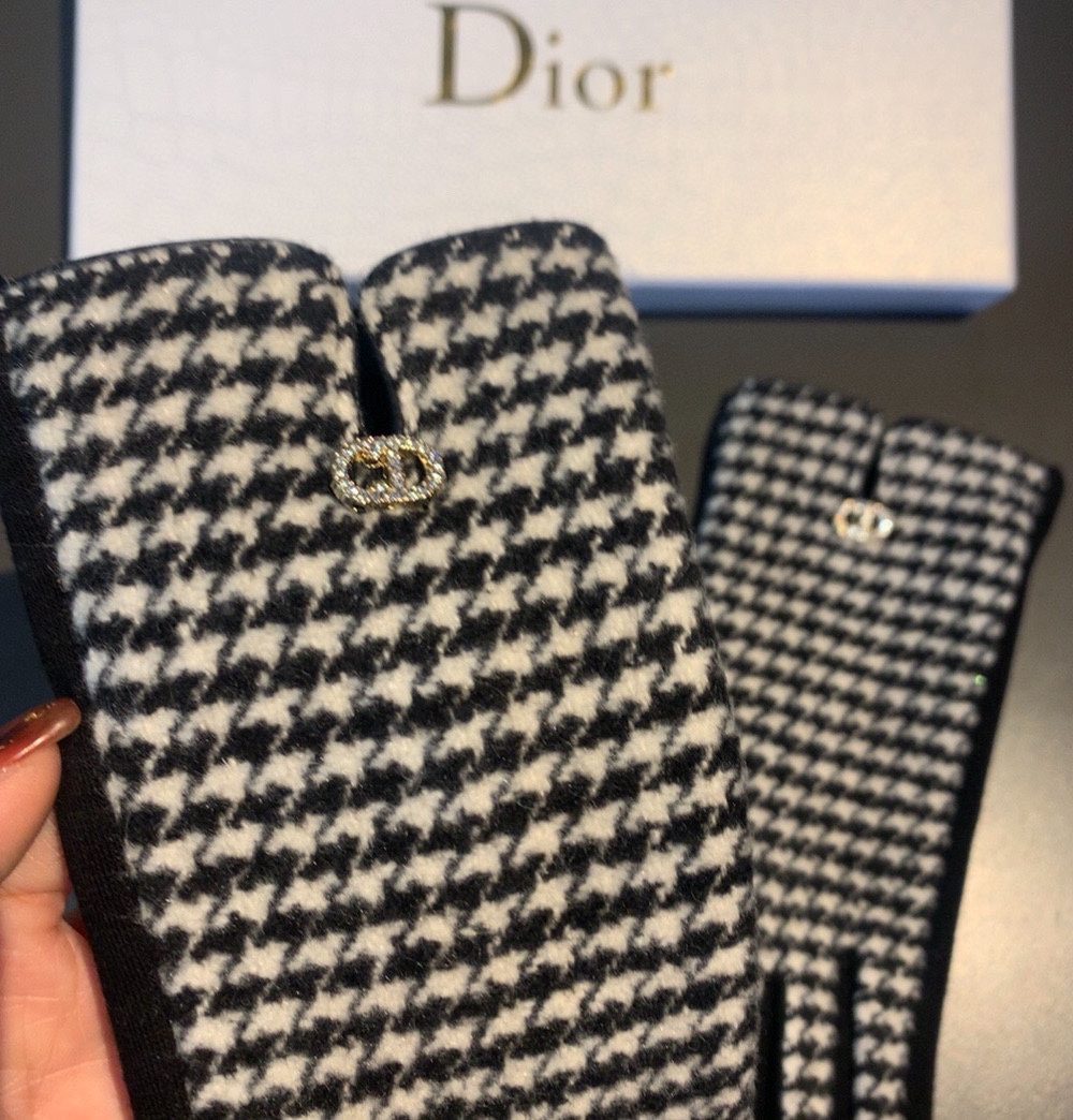 Dior Gloves In White
