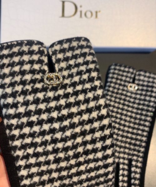 Dior Gloves In White