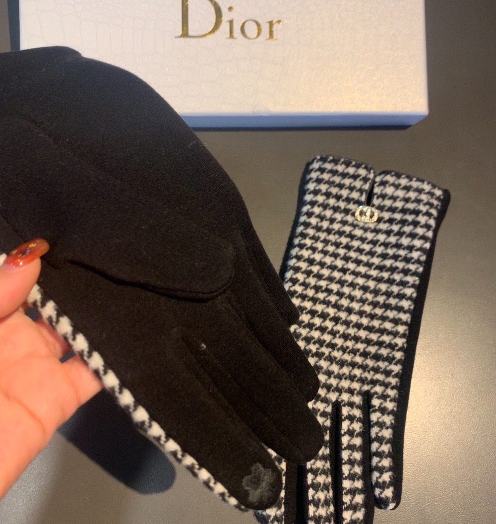 Dior Gloves In White