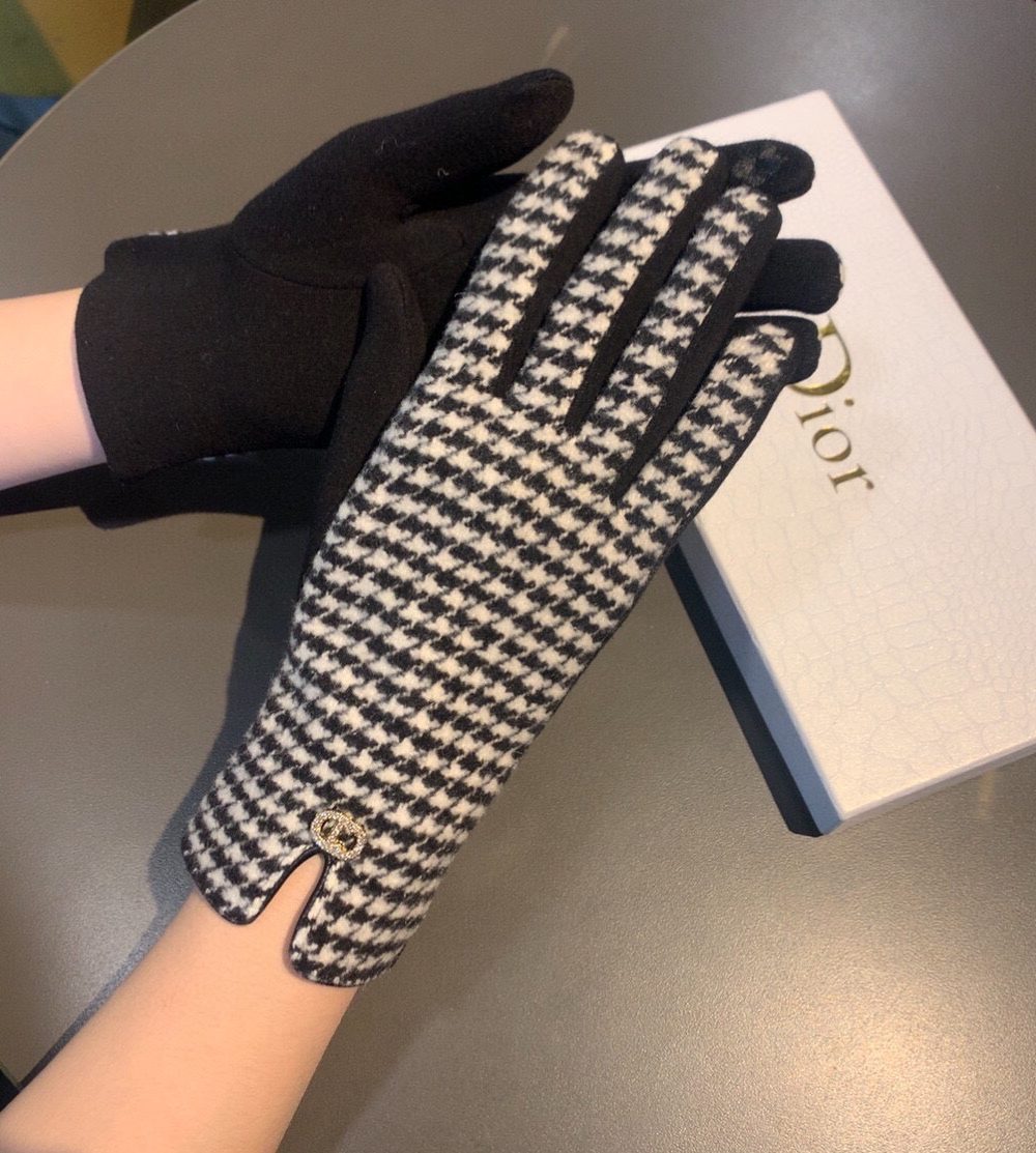 Dior Gloves In White