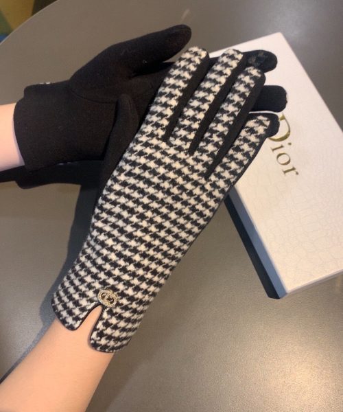 Dior Gloves In White