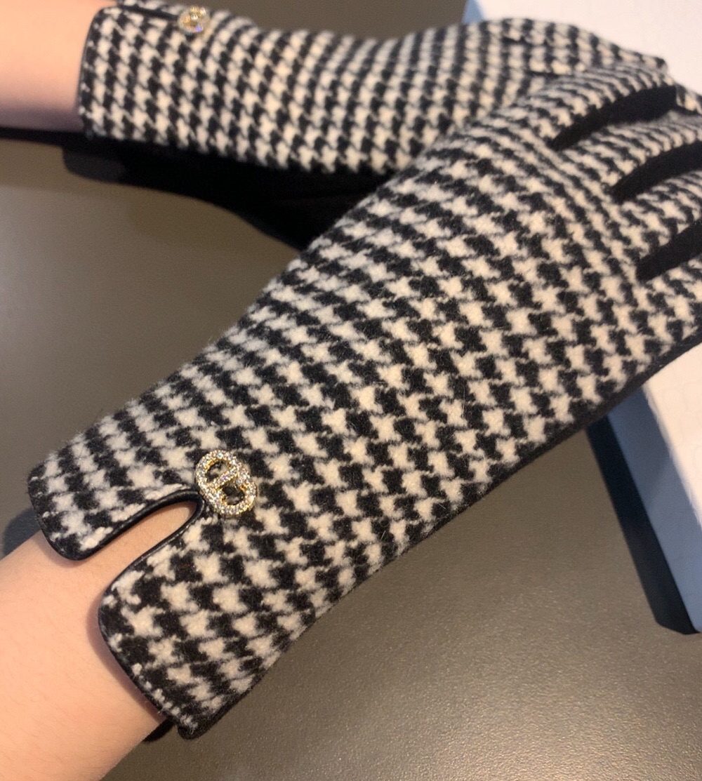 Dior Gloves In White