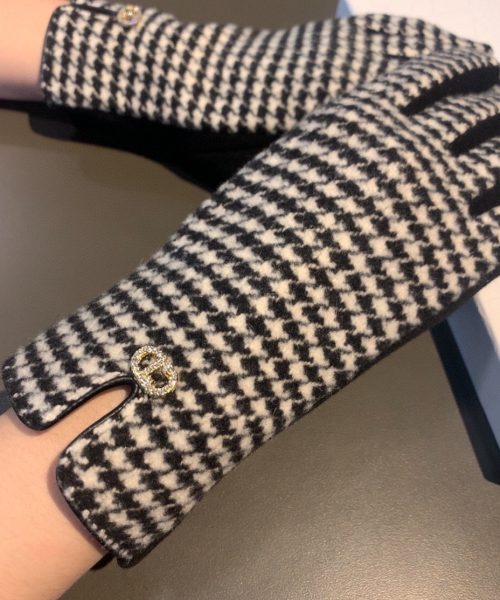 Dior Gloves In White