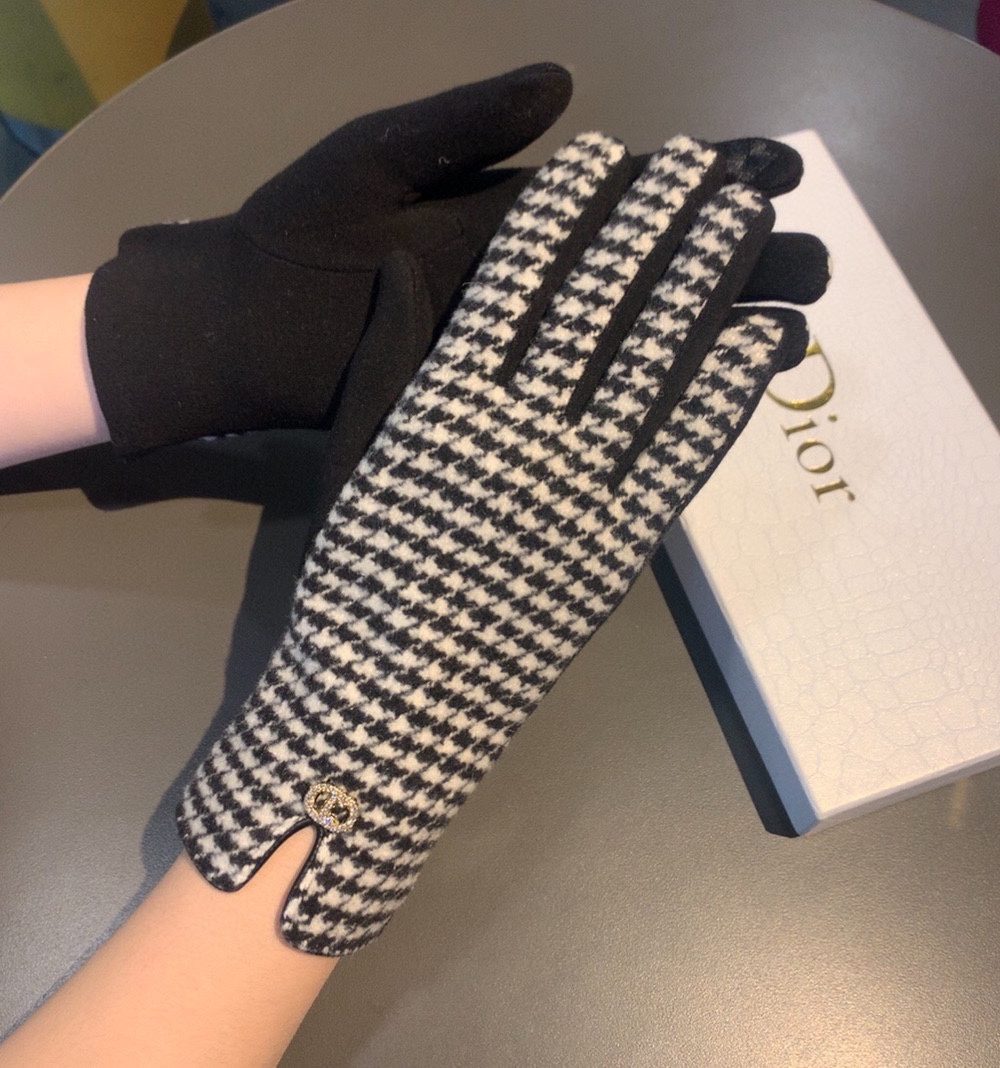 Dior Gloves In White