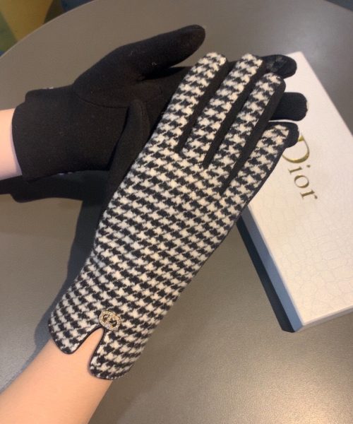 Dior Gloves In White