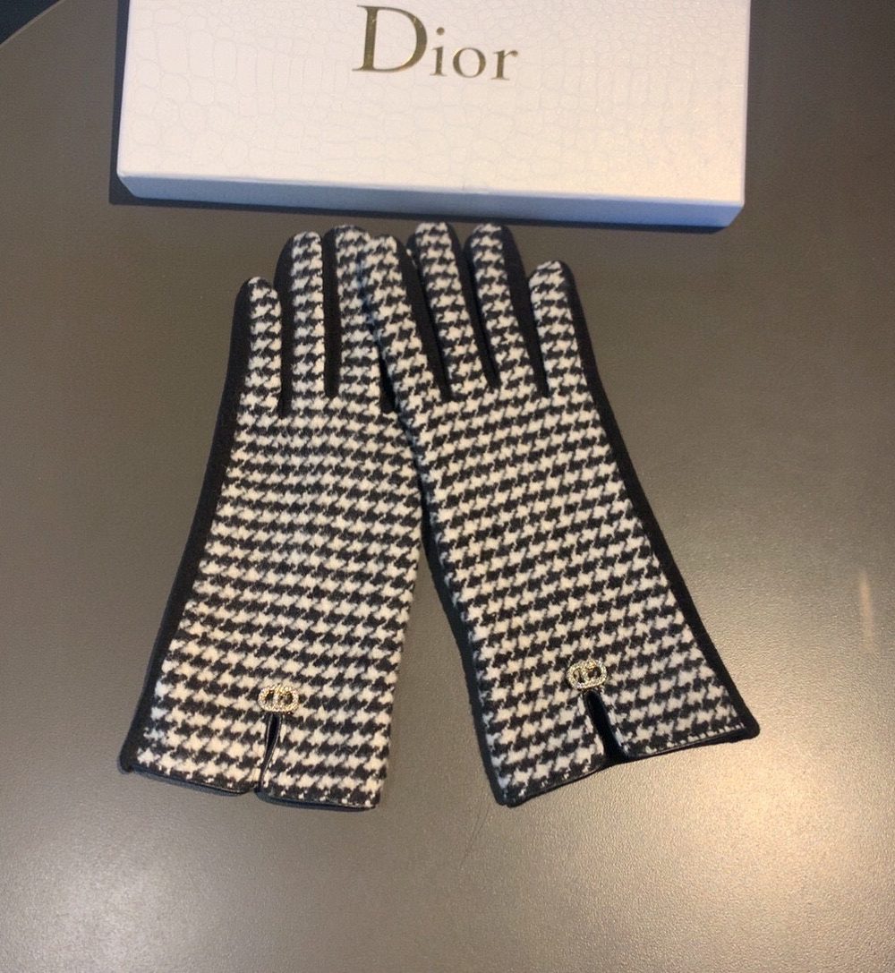 Dior Gloves In White
