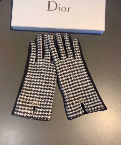 Dior Gloves In White