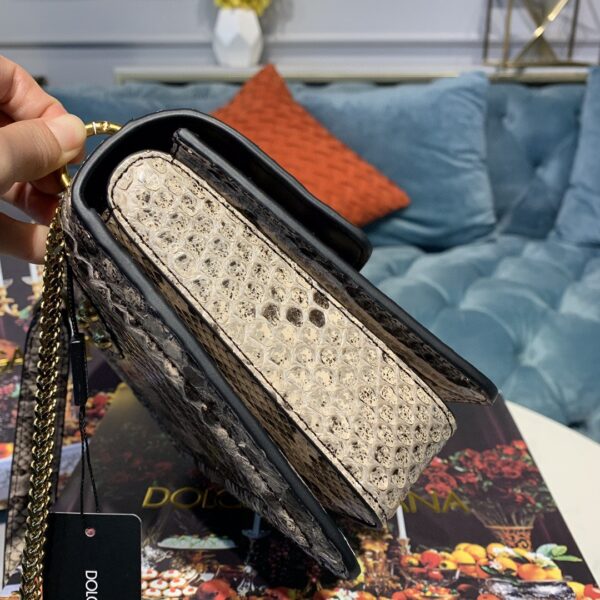 Dolce & Gabbana Medium DG Bag In Printed Solid Pattern Muticolour For Women 9in/23cm DG