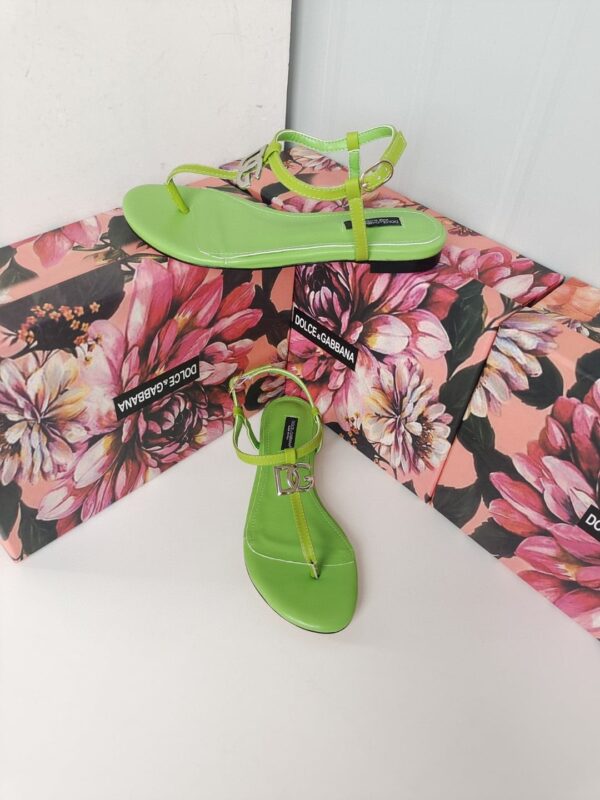 Dolce & Gabbana Nappa DG Sandals Green For Women DG Shoes