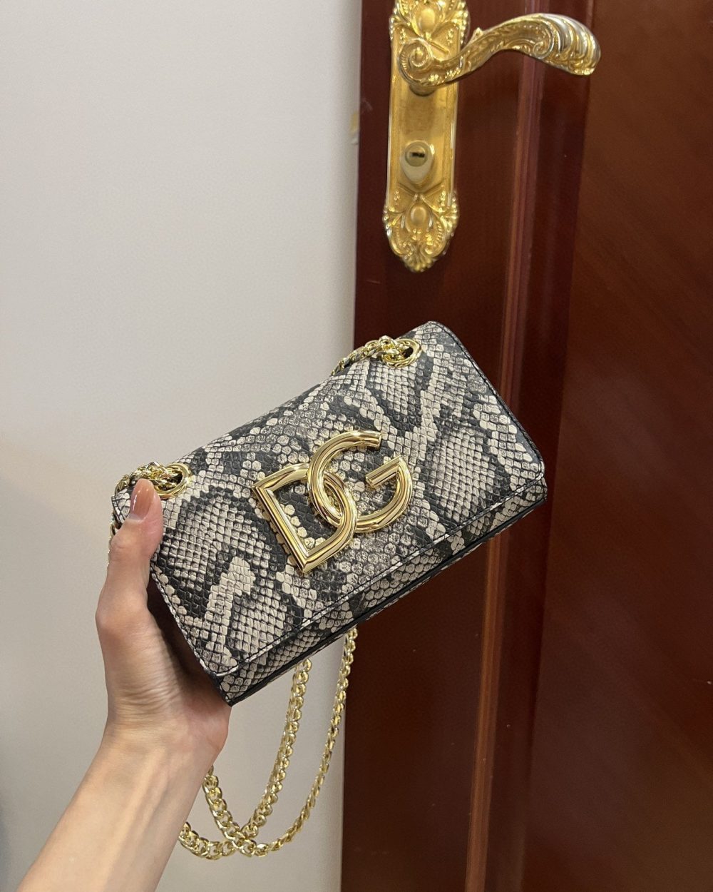 Dolce & Gabbana Polished 3.5 Phone Bag Muticolour For Women 7.3in/19cm DG