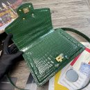 Dolce & Gabbana Print DG Girls Bag Green For Women 10.6in/27cm DG