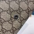 1:1 Replica Gucci Dionysus Mini Chain Bag Beige/Ebony GG Supreme Canvas For Women 8in/20cm GG 401231 KHNSN 8642