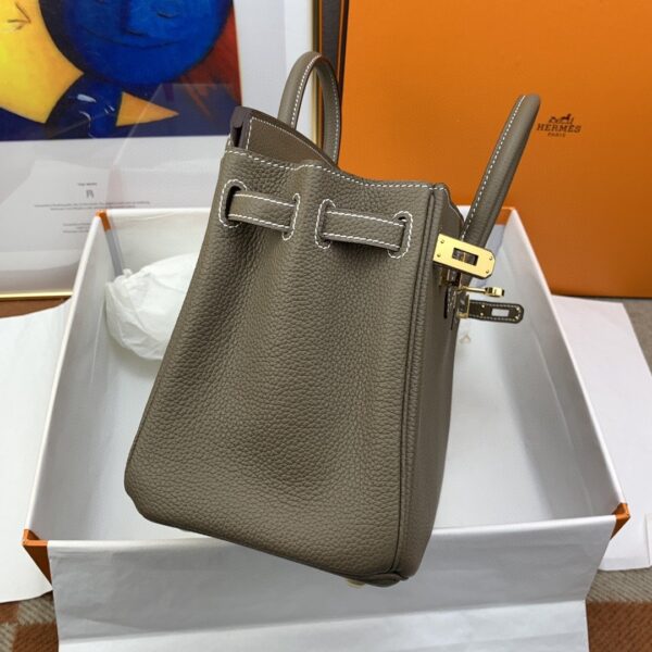 1:1 Replica Hermes Birkin Nata Swift Brown For Women Gold Toned Hardware 10in/25cm