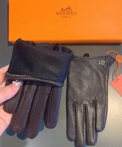 Hermes Soya Gloves In Dark Purple