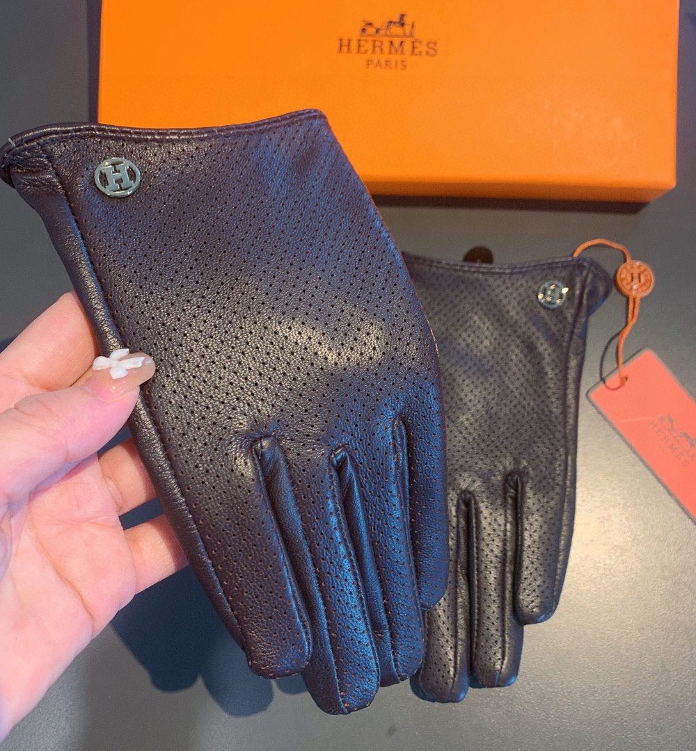 Hermes Soya Gloves In Dark Purple