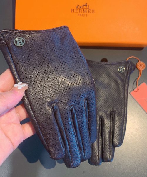 Hermes Soya Gloves In Dark Purple