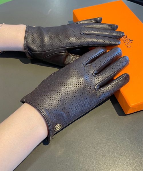 Hermes Soya Gloves In Dark Purple