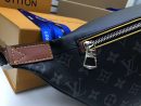 LC150 - Louis Vuitton Women’s Fashion Bag 
