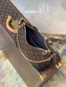 LC170 - Louis Vuitton Women’s Fashion Bag