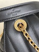 LC179 - Louis Vuitton Women’s Fashion Bag 